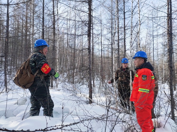 呼中林业局提阳山林场扎实推进森林抚育工作