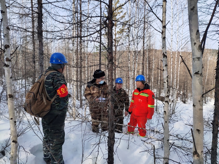 呼中林业局提阳山林场扎实推进森林抚育工作